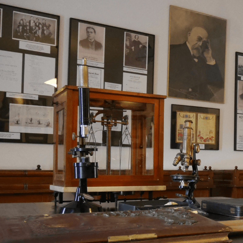 Muzeum dr. Roberta Kocha. Fragment ekspozycji stałej poświęconej życiu i pracy badawczej naukowca.