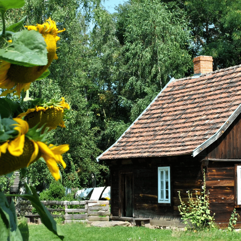 Skansen Budownictwa Ludowego Zachodniej Wielkopolski. Chata komornika ze Świętna.