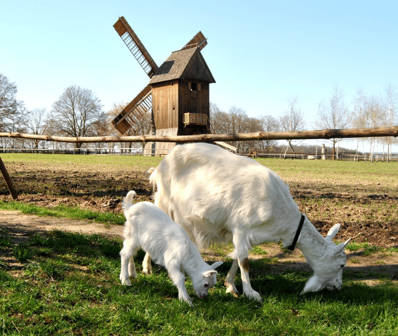 II&nbsp;Powiatowy Turniej Kół Gospodyń Wiejskich