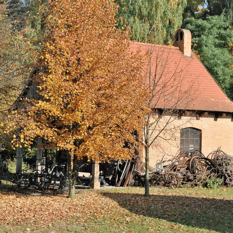 Skansen Budownictwa Ludowego Zachodniej Wielkopolski. Rekonstrukcja kuźni z Ziemina.