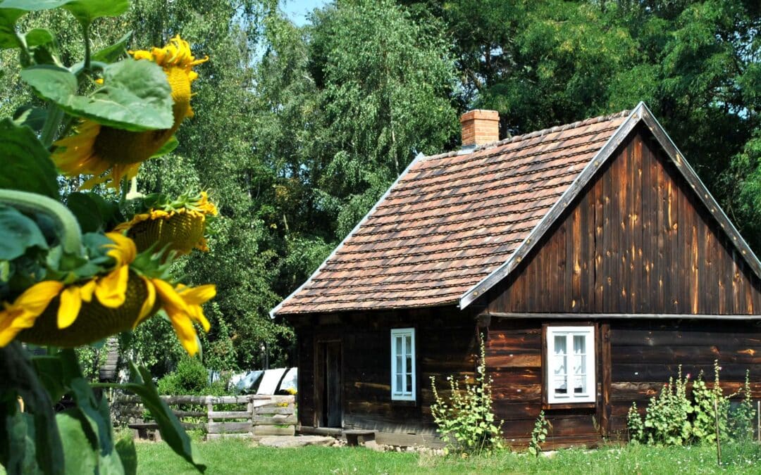 Labija w Skansenie 26.06.2022 r. godz. 13.00-17.00