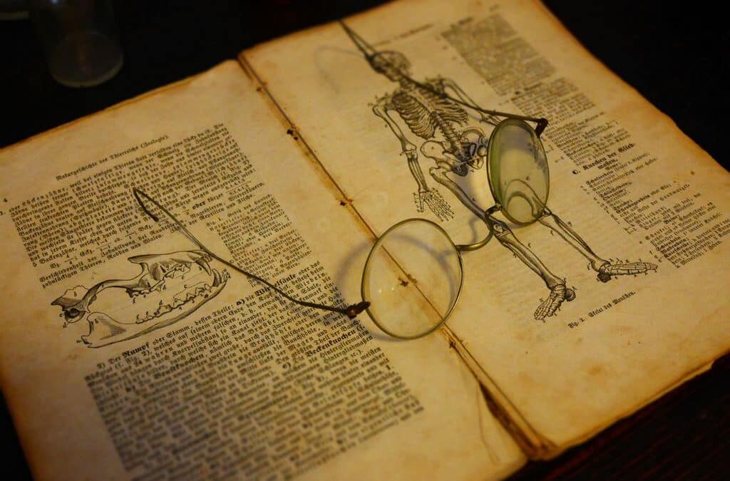 Nowa strona internetowa