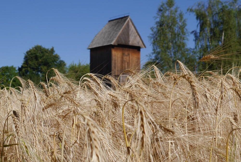 Niedziela w&nbsp;Skansenie